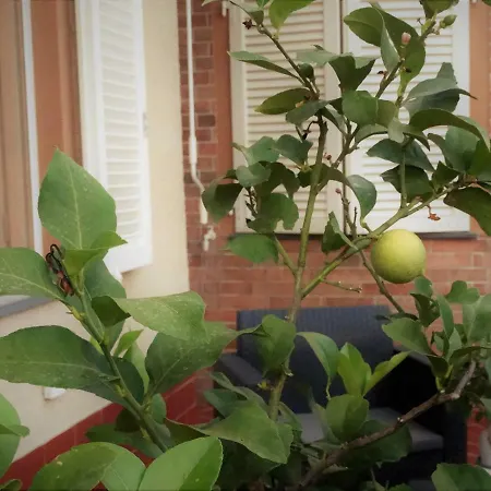 L'angolo Della Felicita * San Giovanni Alla Vena