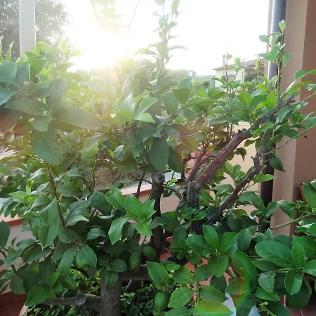 מלון L'angolo Della Felicita