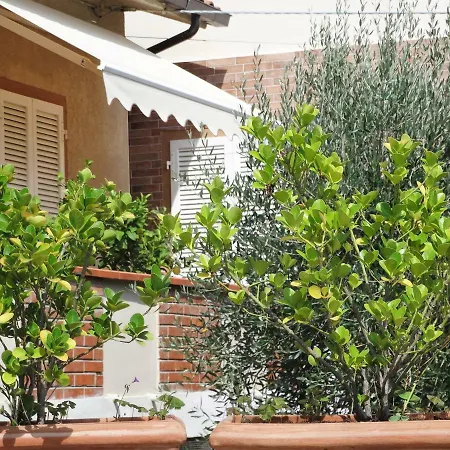 L'angolo Della Felicita